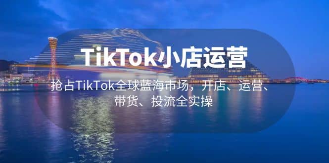 TikTok小店运营 抢占TikTok全球蓝海市场，开店、运营、带货、投流全实操-问小徐资源库