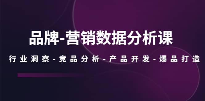 品牌-营销数据分析课，行业洞察-竞品分析-产品开发-爆品打造-问小徐资源库