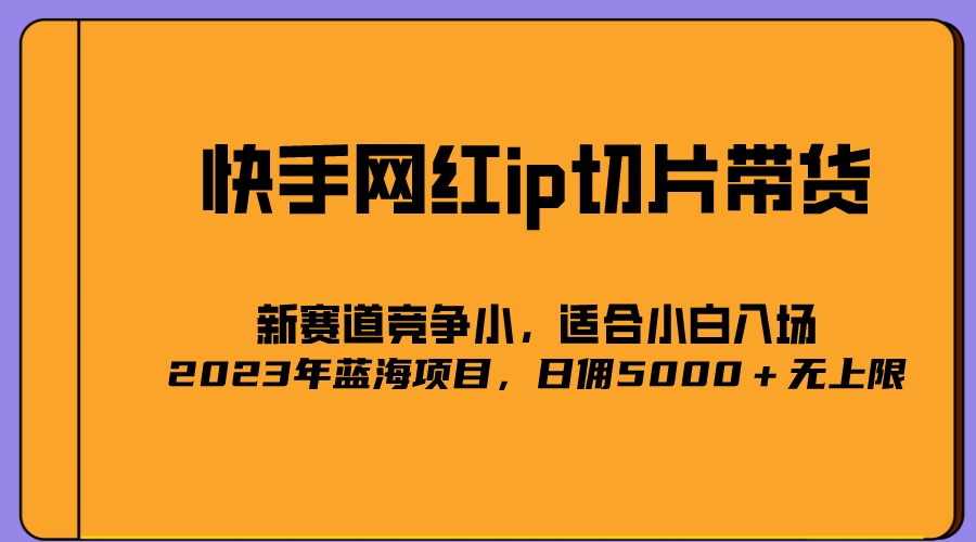 2023爆火的快手网红IP切片，号称日佣5000＋的蓝海项目，二驴的独家授权-问小徐资源库