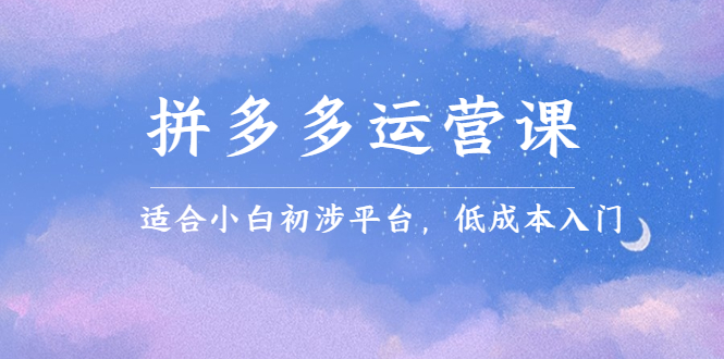 拼多多运营课，适合小白初涉平台，低成本入门-问小徐资源库
