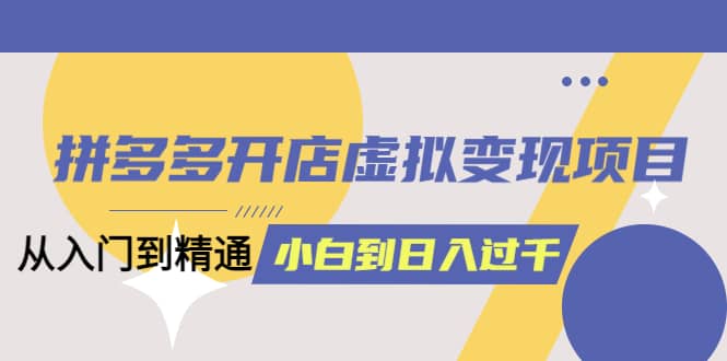 拼多多开店虚拟变现项目：入门到精通 从小白到日入1000（完整版）4月10更新-问小徐资源库