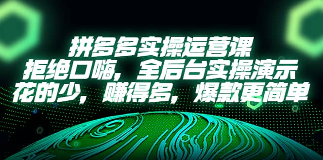 拼多多实操运营课：拒绝口嗨，全后台实操演示，花的少，赚得多，爆款更简单-问小徐资源库