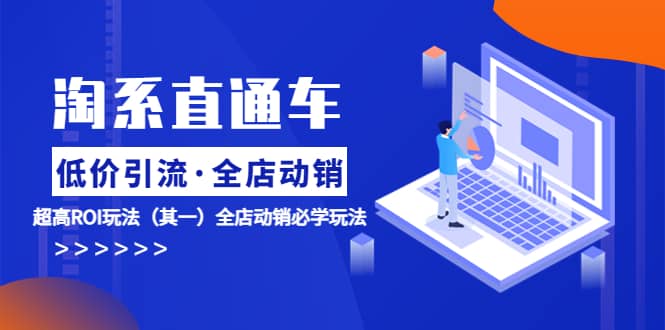 淘系直通车《低价·引流 全店·动销》超高ROI玩法（其一）全店动销必学玩法-问小徐资源库