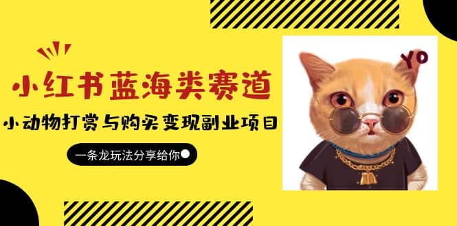 小红书蓝海类赛道：小动物打赏与购买变现副业项目，一条龙玩法分享给你-问小徐资源库