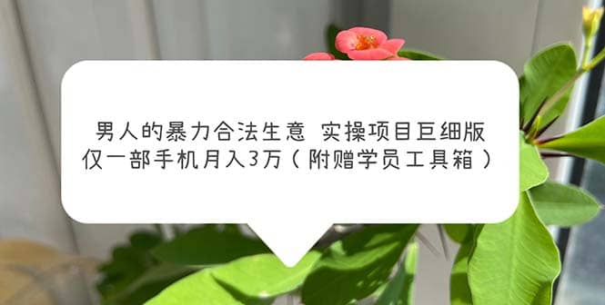 男人的暴力合法生意实操项目巨细版：仅一部手机月入3w（附赠学员工具箱）-问小徐资源库