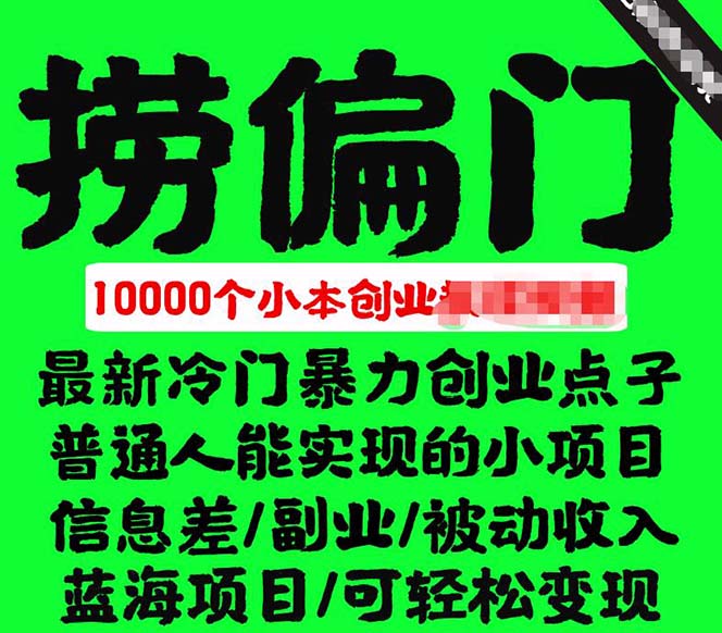 千款捞偏门小本创业小项目，总有一款适合你【无水印】-问小徐资源库