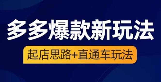2023拼多多爆款·新玩法：起店思路+直通车玩法（3节精华课）-问小徐资源库