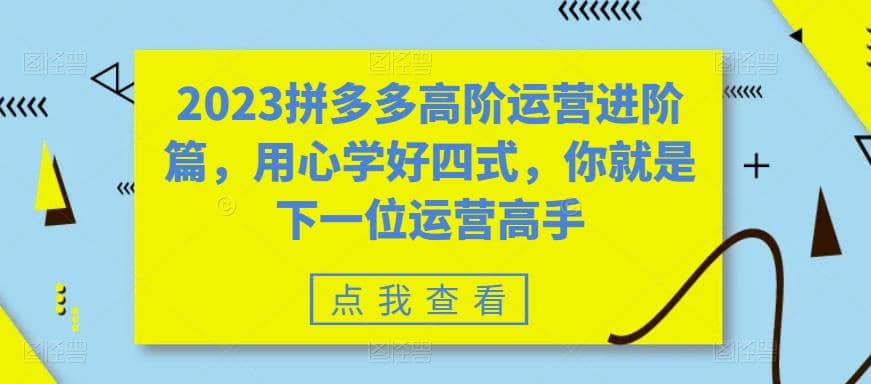 2023拼多多高阶运营进阶篇，用心学好四式，你就是下一位运营高手-问小徐资源库