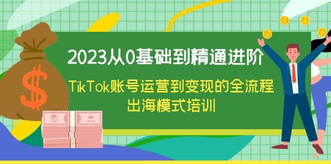 2023从0基础到精通进阶，TikTok账号运营到变现的全流程出海模式培训-问小徐资源库