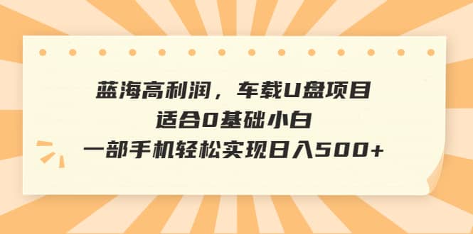 蓝海高利润，车载U盘项目，适合0基础小白，一部手机轻松实现日入500+-问小徐资源库