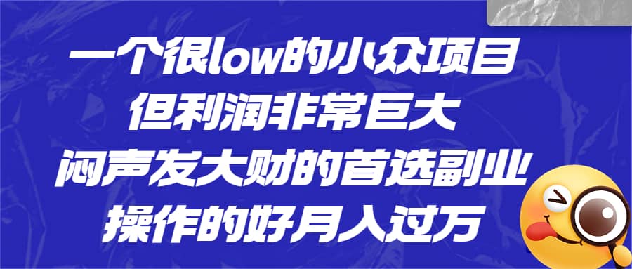 一个很low的小众项目，但利润非常巨大，闷声发大财的首选副业，月入过万-问小徐资源库