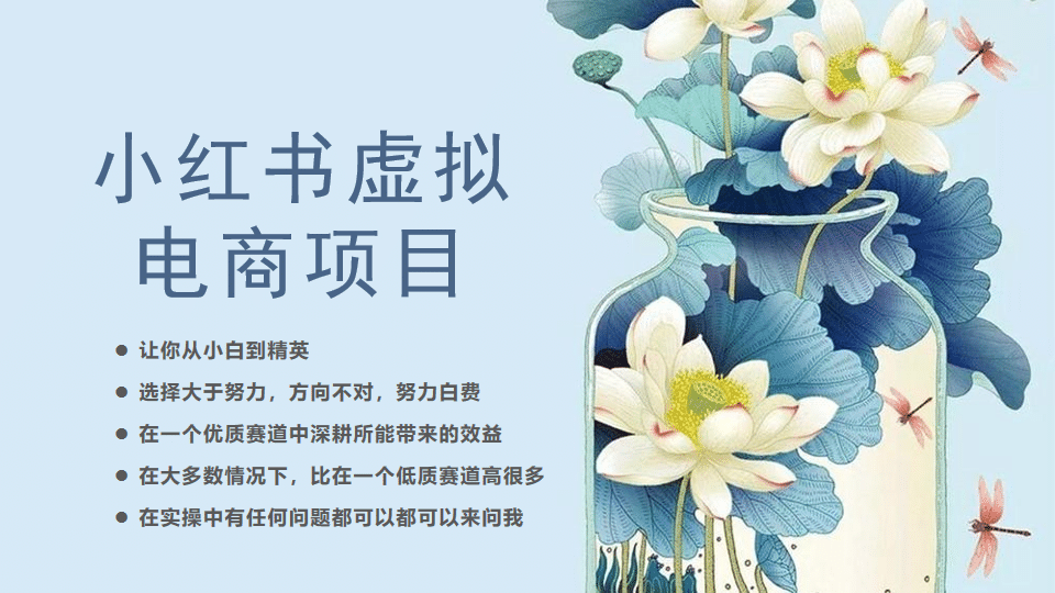 小红书虚拟电商从0到1，让你从小白到精英（20节实操课程）-问小徐资源库