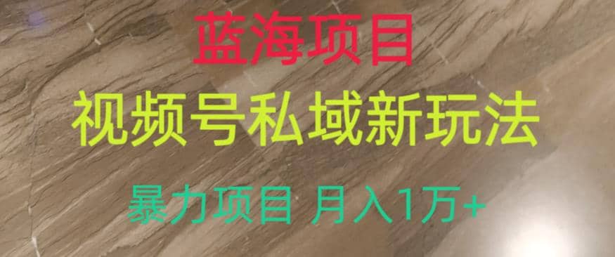 蓝海项目，视频号私域新玩法，暴力项目月入1万+【揭秘】-问小徐资源库