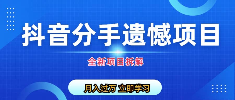 自媒体抖音分手遗憾项目私域项目拆解-问小徐资源库