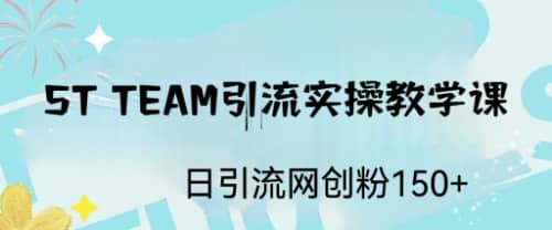 ST TEAM引流实操课，日引流网创粉100+-问小徐资源库