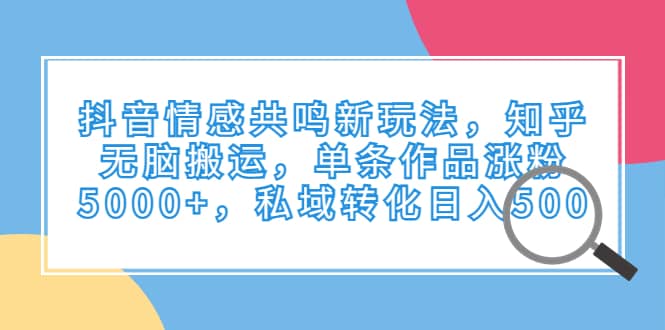 抖音情感共鸣新玩法，知乎无脑搬运，单条作品涨粉5000+，私域转化日入500-问小徐资源库