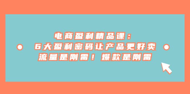电商 盈利精品课：6大盈利 密码让产品更好卖，流量是刚需！爆款是刚需-问小徐资源库