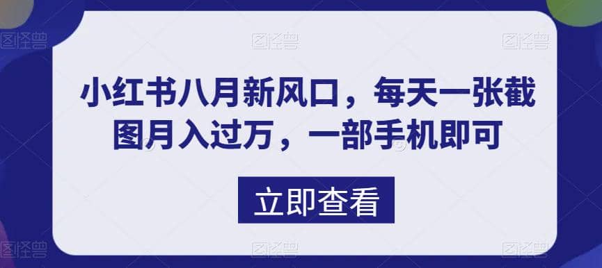八月新风口，小红书虚拟项目一天收入1000+，实战揭秘-问小徐资源库