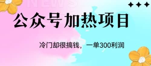 冷门公众号加热项目，一单利润300+-问小徐资源库