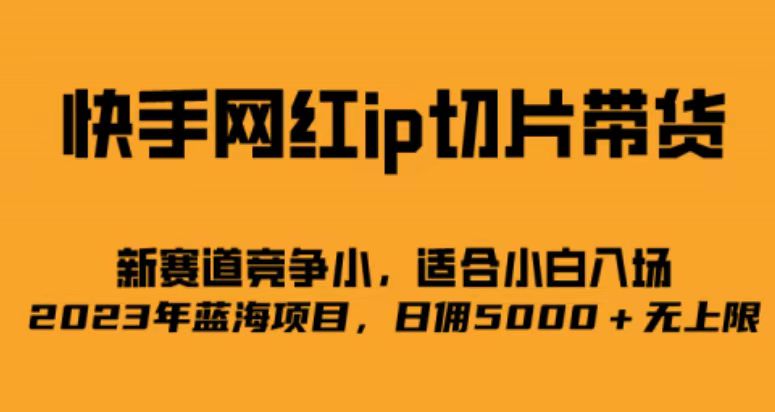 快手网红ip切片新赛道，竞争小事，适合小白 2023蓝海项目-问小徐资源库