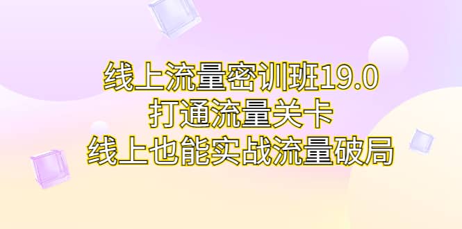 线上流量密训班19.0，打通流量关卡，线上也能实战流量破局-问小徐资源库