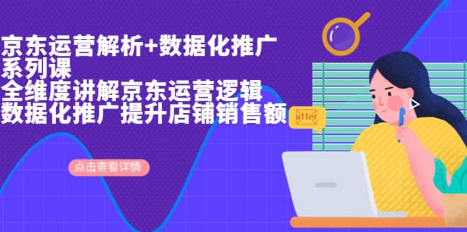 京东运营解析与数据化推广系列课，全维度讲解京东运营逻辑+数据化推广提升店铺销售额-问小徐资源库