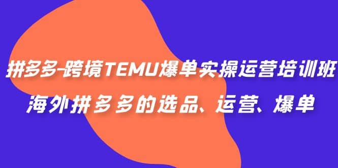 拼多多-跨境TEMU爆单实操运营培训班，海外拼多多的选品、运营、爆单-问小徐资源库
