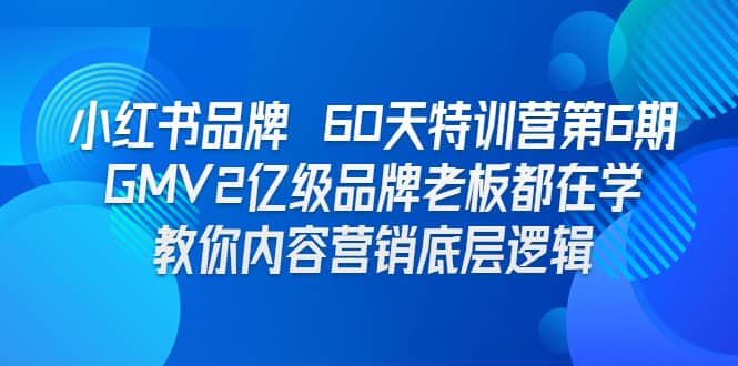 小红书品牌 60天特训营第6期 GMV2亿级品牌老板都在学 教你内容营销底层逻辑-问小徐资源库