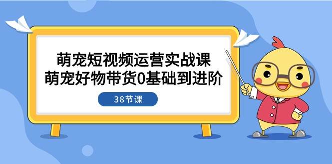 萌宠·短视频运营实战课：萌宠好物带货0基础到进阶（38节课）-问小徐资源库