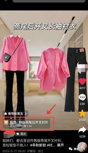 图片[3]-AI图文带货项目：不用出镜，不用拍短视频，不用做直播 就能出单，赚取佣金-问小徐资源库