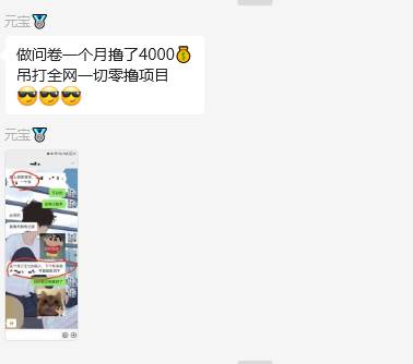 图片[2]-问卷调查兼职项目，随时可做 超低门槛 单号日撸20+-问小徐资源库