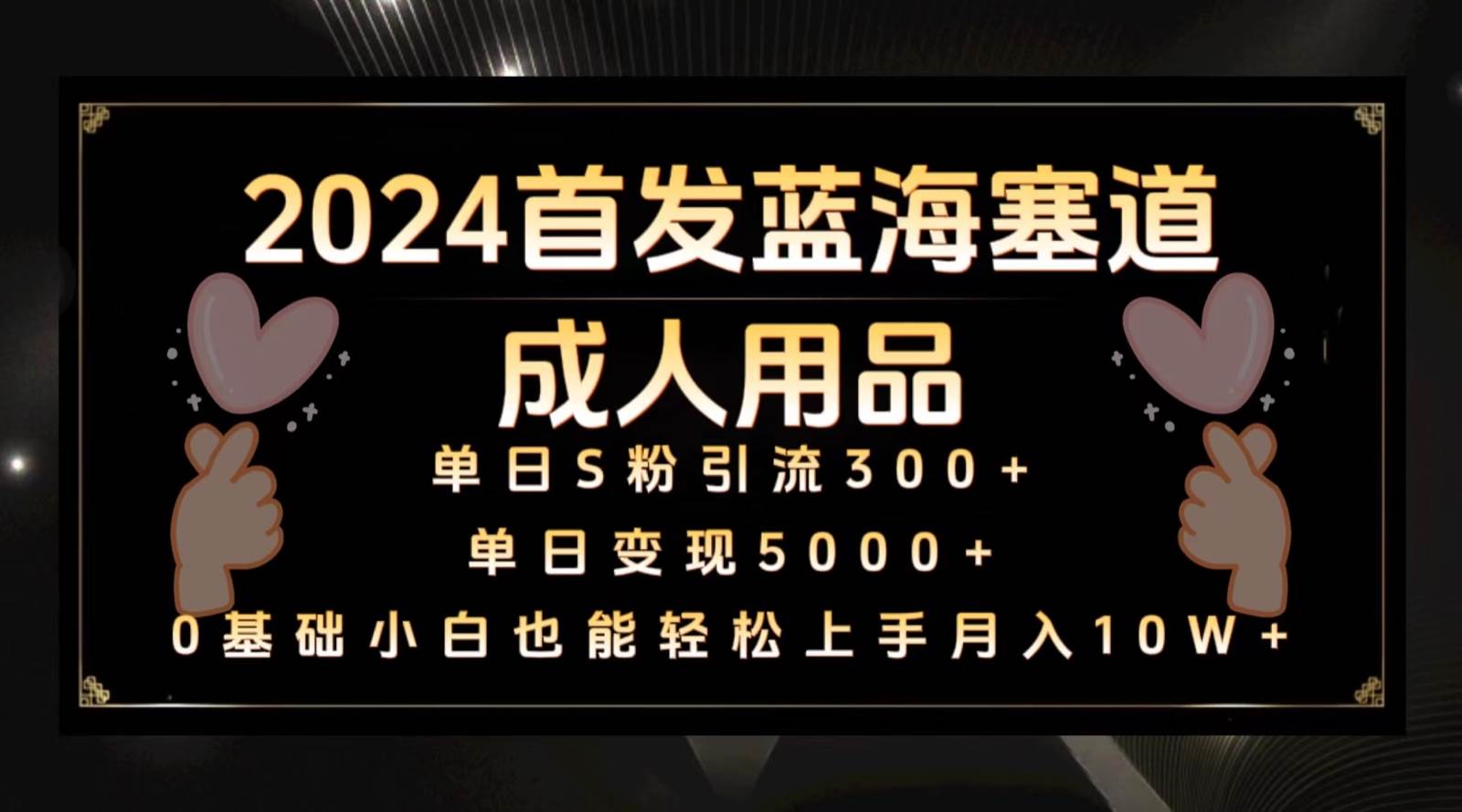 2024首发蓝海塞道成人用品，月入10W+保姆教程-问小徐资源库