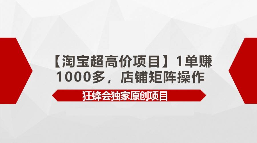 【淘宝超高价项目】1单赚1000多，店铺矩阵操作-问小徐资源库