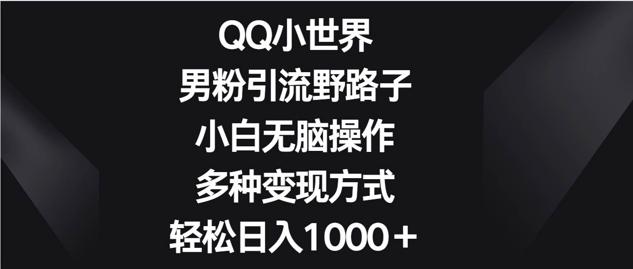 QQ小世界男粉引流野路子，小白无脑操作，多种变现方式轻松日入1000＋-问小徐资源库