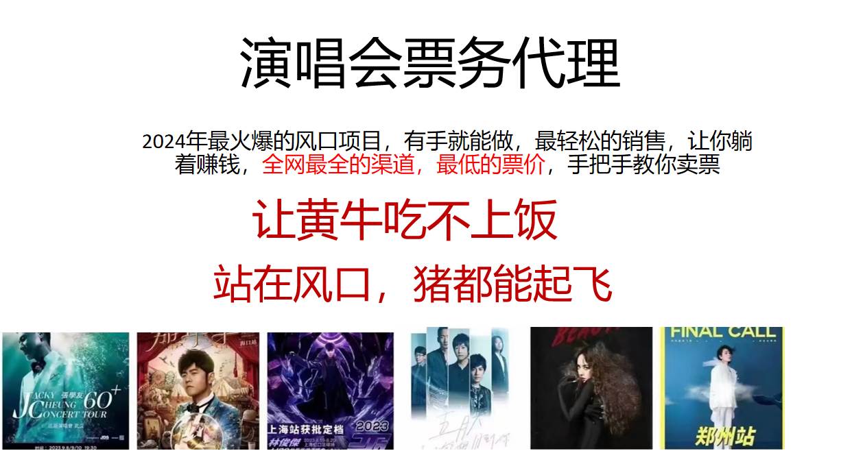 2024年最火爆风口项目，演唱会票务代理，日入2000+，一部手机就能搞定！-问小徐资源库