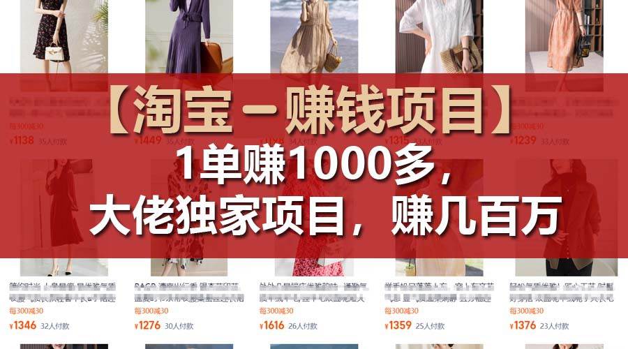【淘宝赚钱项目】1单可赚1000多，大佬独家项目，年赚几百万-问小徐资源库