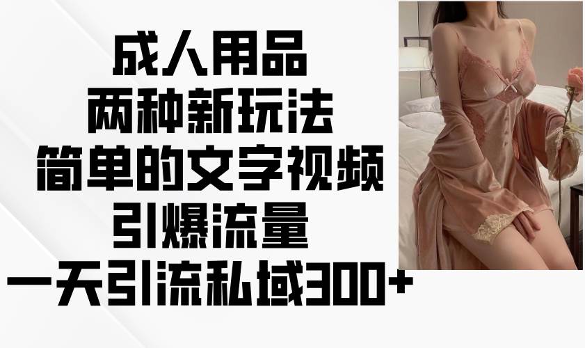 成人用品两种新玩法，简单的文字视频引爆流量，一天引流私域300+-问小徐资源库