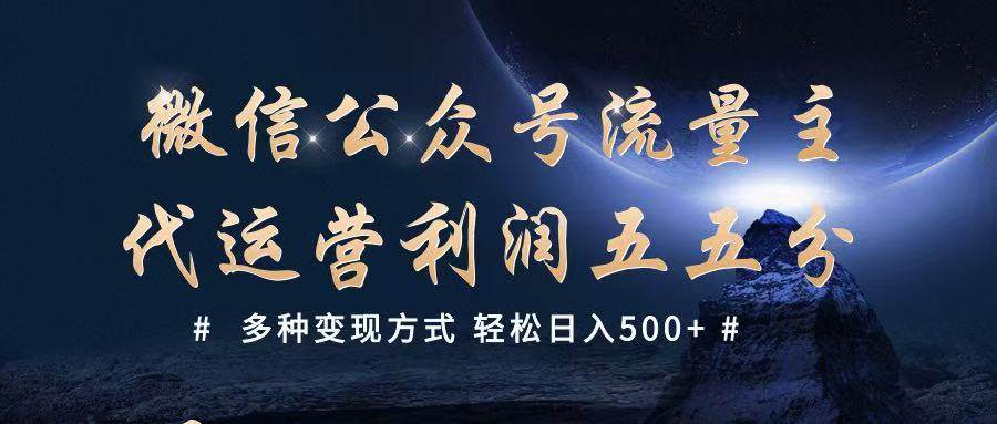 公众号流量主代运营  多种变现方式 轻松日入500+-问小徐资源库
