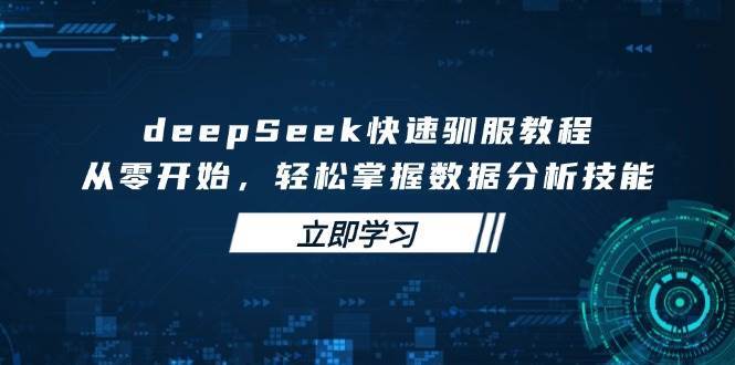 deepSeek快速驯服教程，从零开始，轻松掌握数据分析技能-问小徐资源库