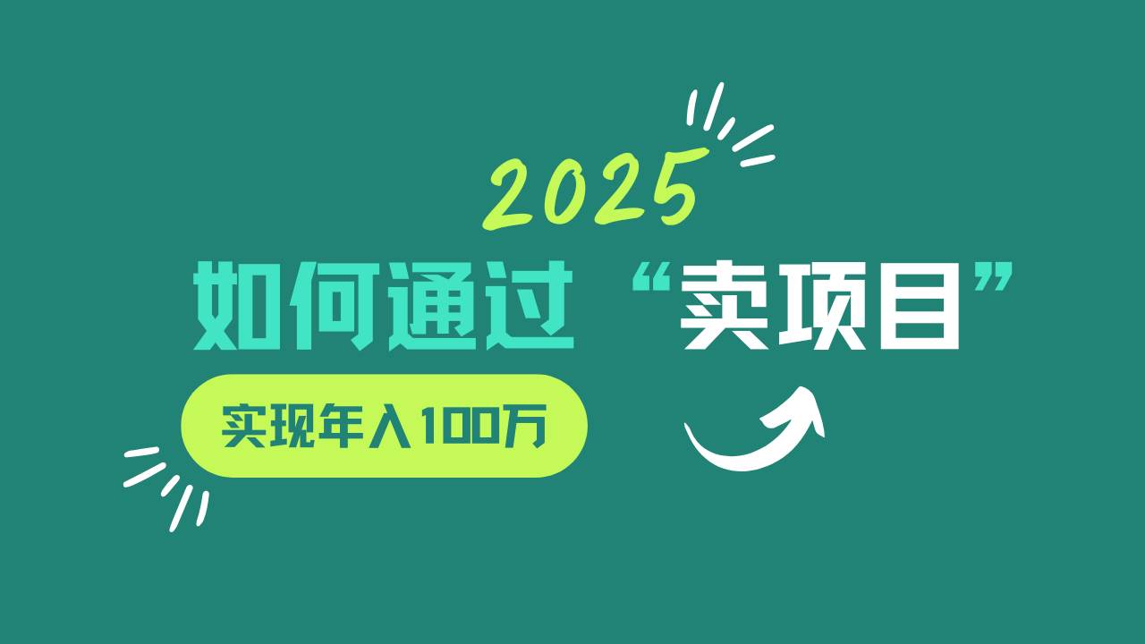 2025年如何通过“卖项目”实现年入100w-问小徐资源库
