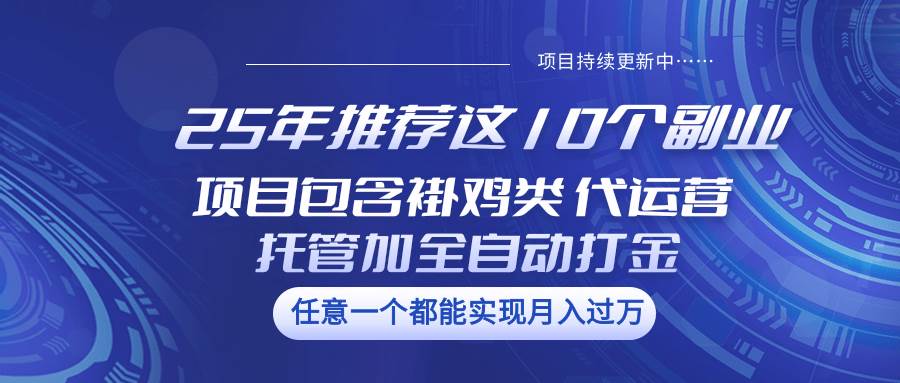 25年推荐这10个副业 项目包含褂鸡类、代运营托管类、全自动打金类-问小徐资源库