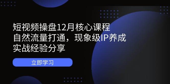 短视频操盘12月核心课程：自然流量打通，现象级IP养成，实战经验分享-问小徐资源库