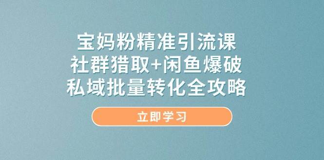 宝妈粉精准引流课，社群猎取+闲鱼爆破，私域批量转化全攻略-问小徐资源库