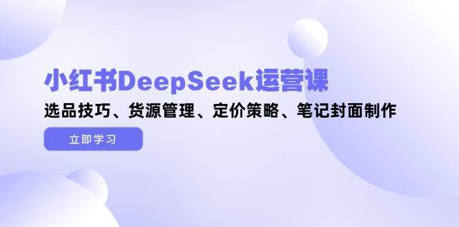 小红书DeepSeek运营课，选品技巧、货源管理、定价策略、笔记封面制作-问小徐资源库