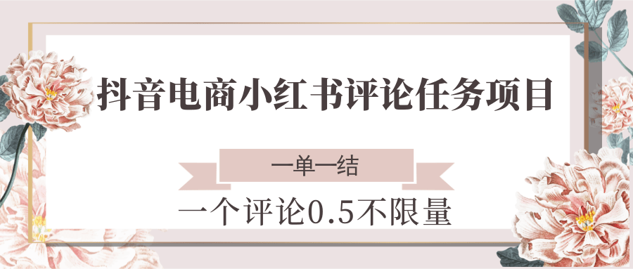 抖音电商小红书评论任务项目，一个评论0.5，一单一结 不限量-问小徐资源库