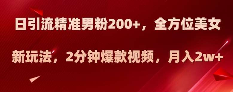 日引流精准男粉200+，全方位美女新玩法，2分钟爆款视频，月入2w+【揭秘】-问小徐资源库