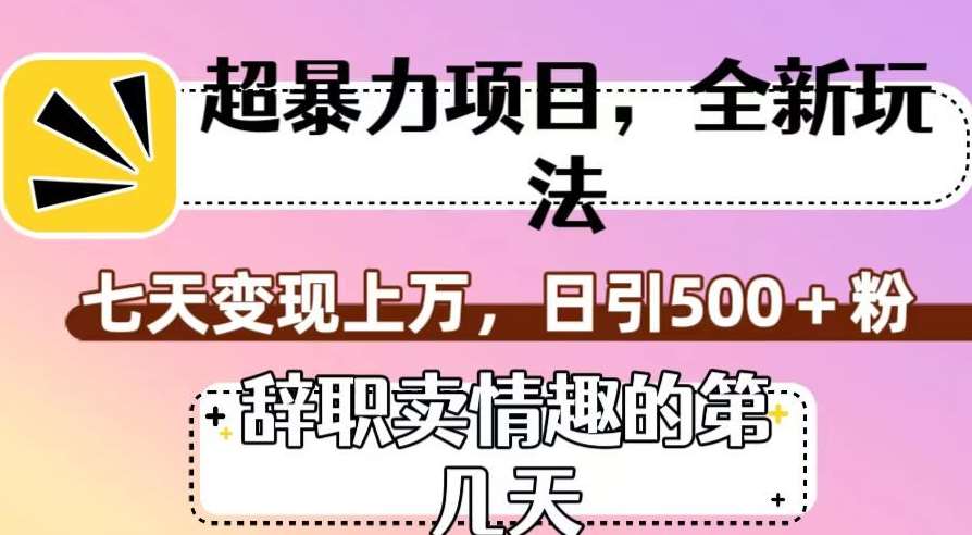 超暴利项目，全新玩法（辞职卖情趣的第几天），七天变现上万，日引500+粉【揭秘】-问小徐资源库