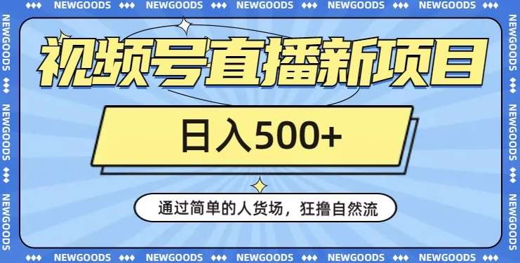 视频号直播新项目，通过简单的人货场，狂撸自然流，日入500+【260G资料】-问小徐资源库