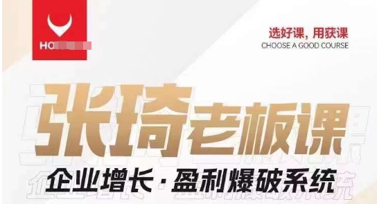 【组合课】张琦张琦老板企业增长·盈利爆破系统（直播专享）-问小徐资源库