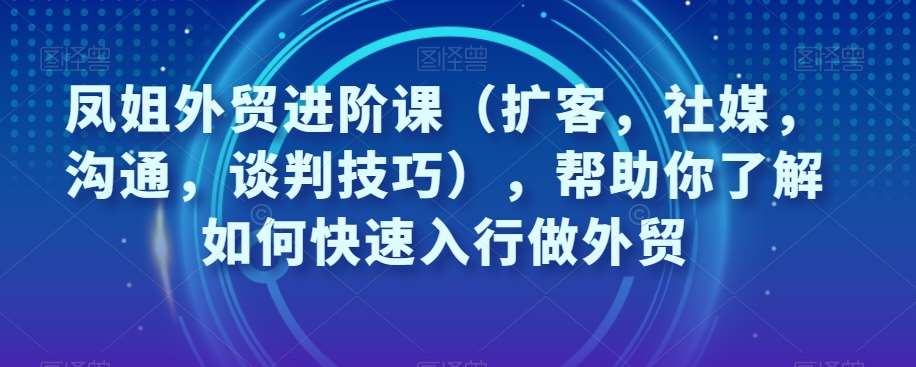 凤姐外贸进阶课（扩客，社媒，沟通，谈判技巧），帮助你了解如何快速入行做外贸-问小徐资源库